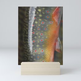 Trout Mini Art Print