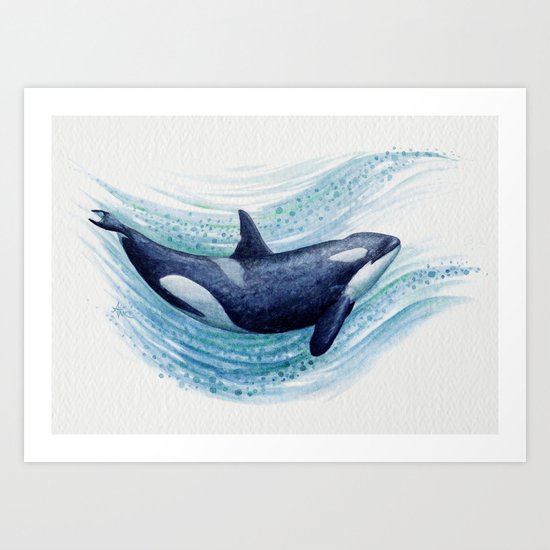 "Orca Spash" by Amber Marine ~ Watercolor Killer Whale Painting, (c) 2016 Art Print