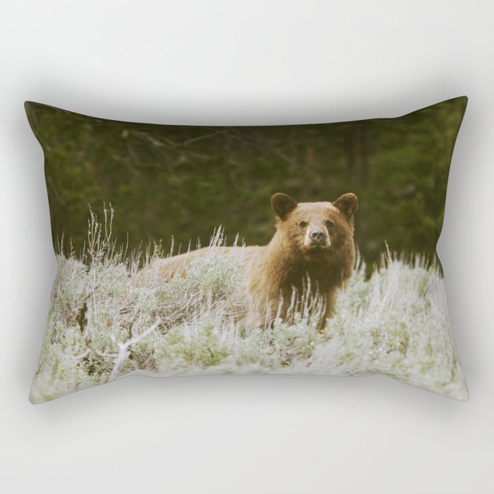 Bush Bear Rectangular Pillow