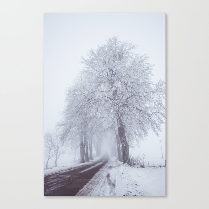 Heading north - Landscape and Nature Photography Canvas Print