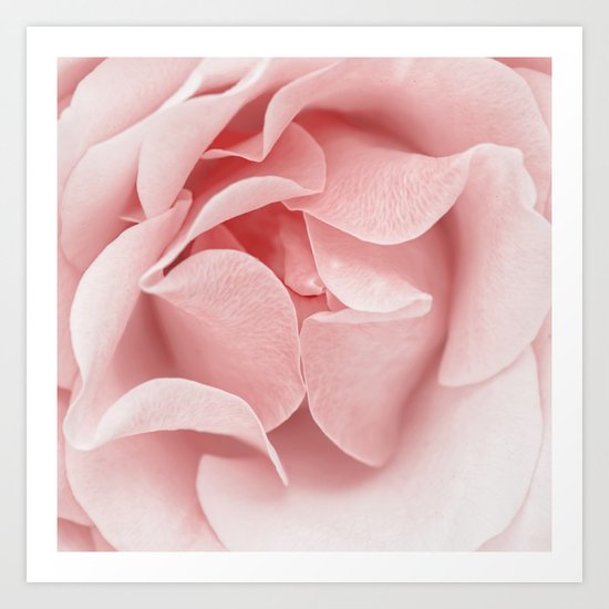 Pink flora Rose Bud- Roses and flowers Art Print
