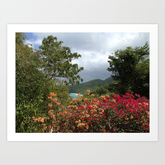 Peter Bay, St. John, US Virgin Islands, Flowers Art Print