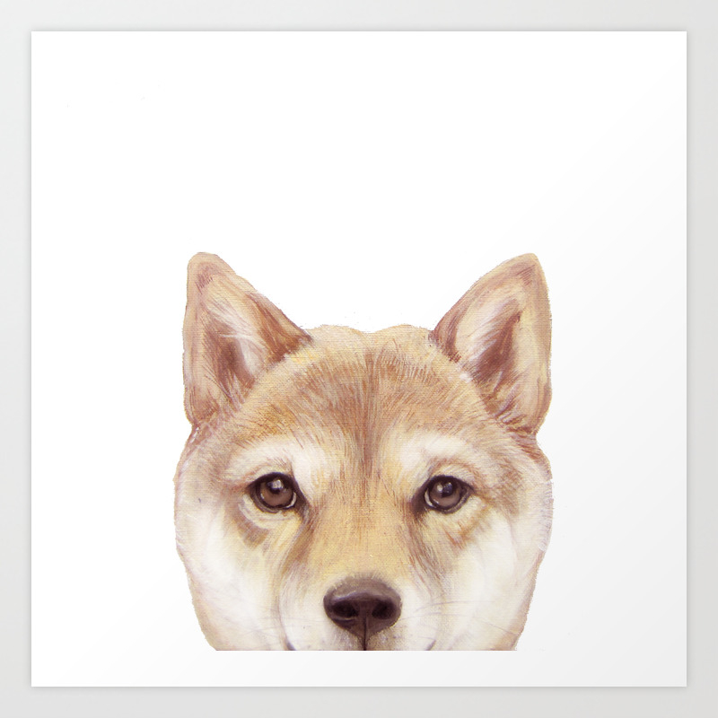 Shiba Inu Dog Illustration Original Painting Print Art Print By