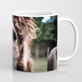 Curious Llama Coffee Mug