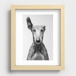 Rayito el Galgo - Dog portrait - Greyhound Recessed Framed Print