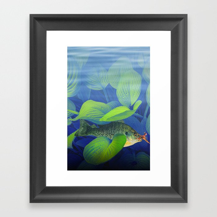 Bluegill Sunfish hooked with a jig lure underwater among green foliage Framed Art Print