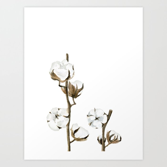 Discover the motif COTTON FLOWERS by Art by ASolo as a print at TOPPOSTER