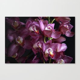 Blooming Orchid Canvas Print