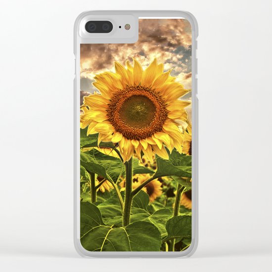 Sunflowers at Sunset Clear iPhone Case