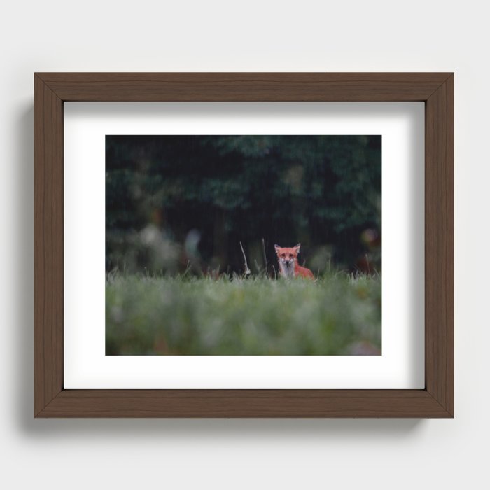 Fox Recessed Framed Print