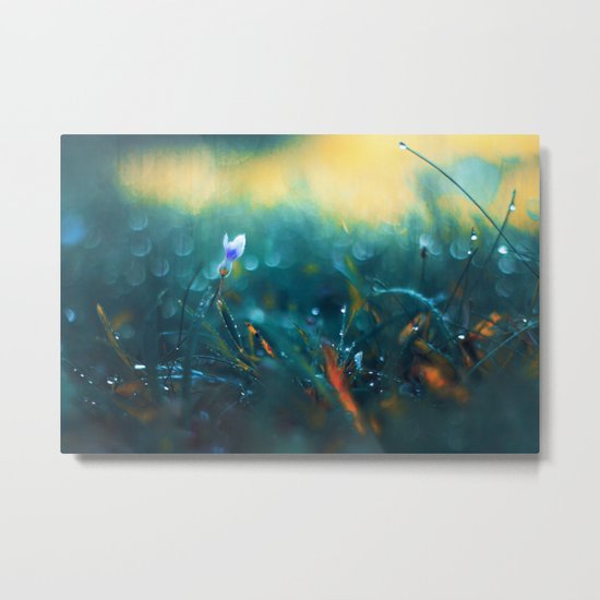 Morning's Gift Metal Print