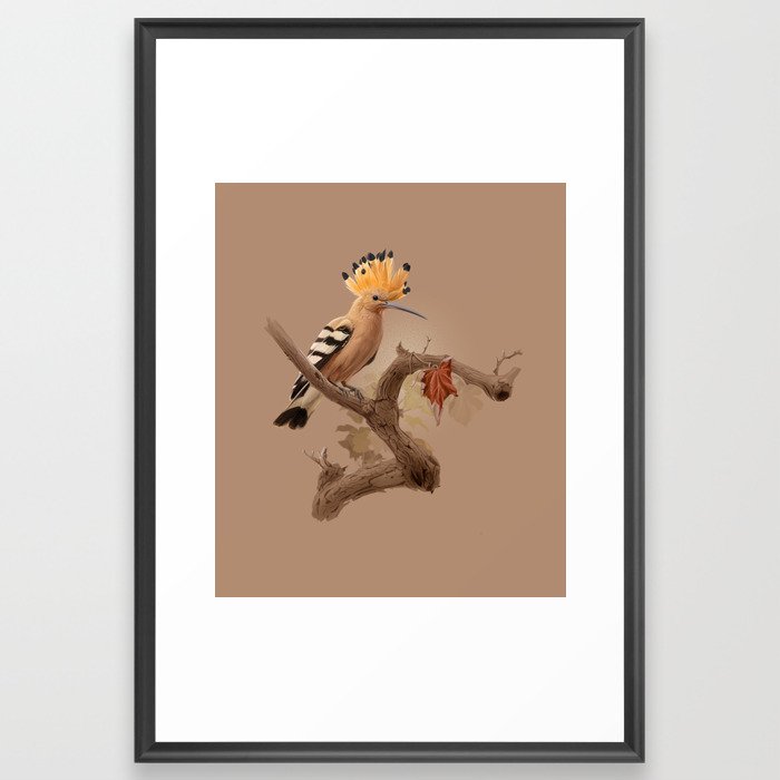 Hoopoe bird Framed Art Print