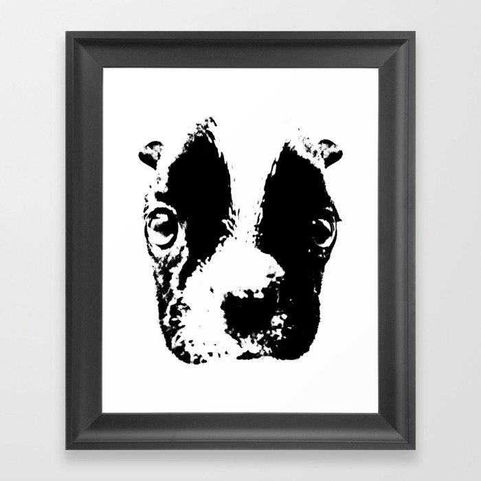 Curious French Bulldog Framed Art Print