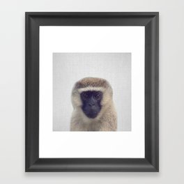 Monkey - Colorful Framed Art Print
