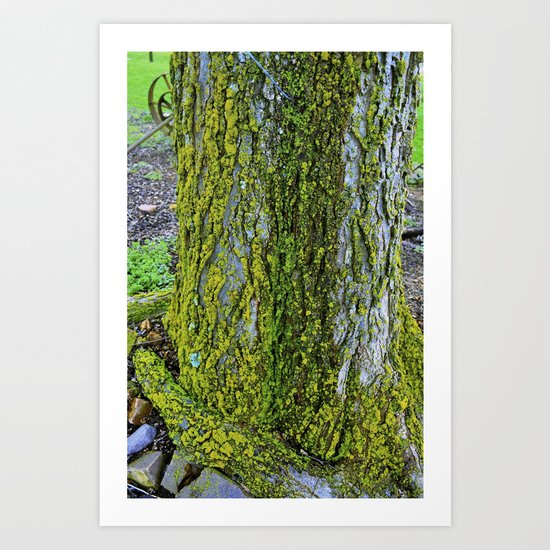 Slow And Steady Art Print