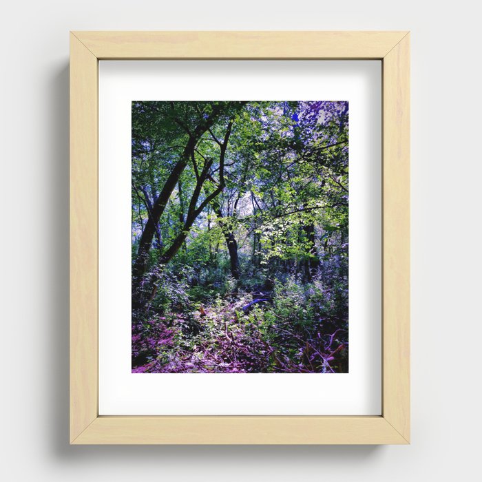 Pleasure of the Pathless Woods Recessed Framed Print
