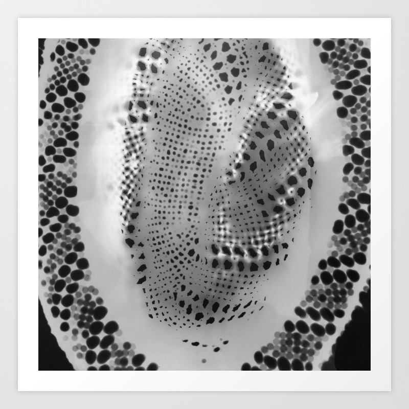 Abstract Black And White Photograph Photogram Summer Hat Art