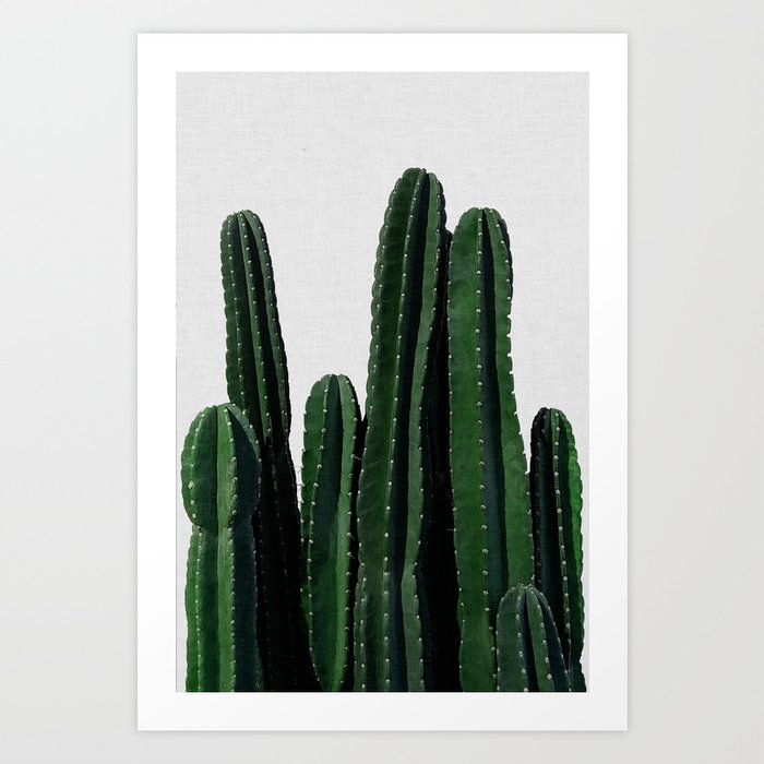 Cactus I Art Print