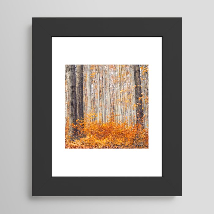 Framed Art Print