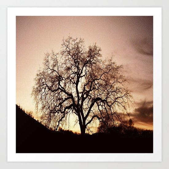 The Tree of Life... Art Print