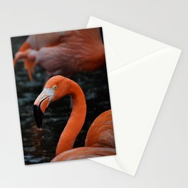 Flamingos in the rain Stationery Cards
