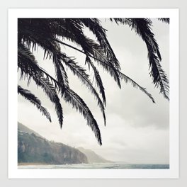 Australian Coast Art Print | Photo, Nature, Trees, Australia, Waves, Coast, Landscape, Palm, Rocks, Sand 