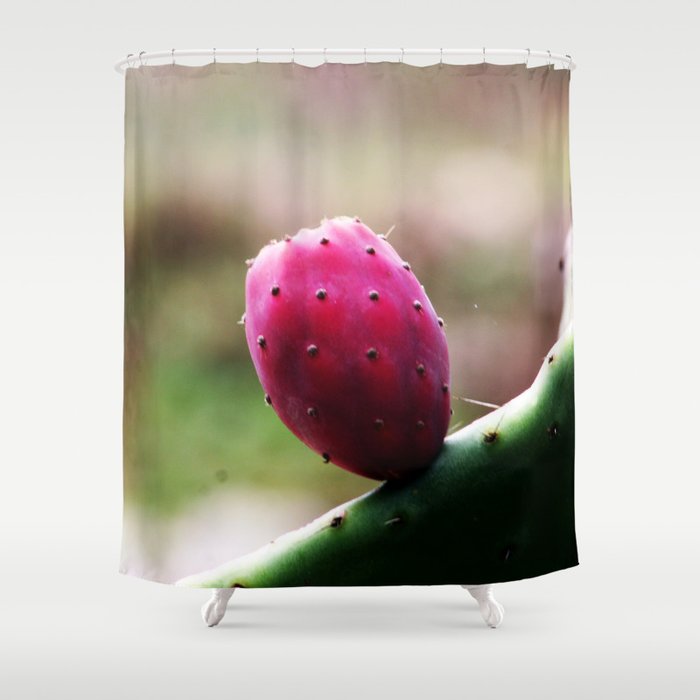Prickly Pear Cactus Fruit Shower Curtain