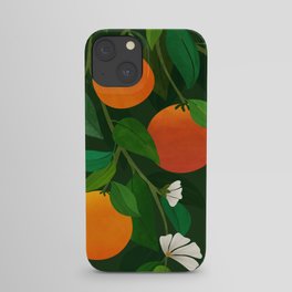 Oranges and Blossoms Botanical Illustration iPhone Case