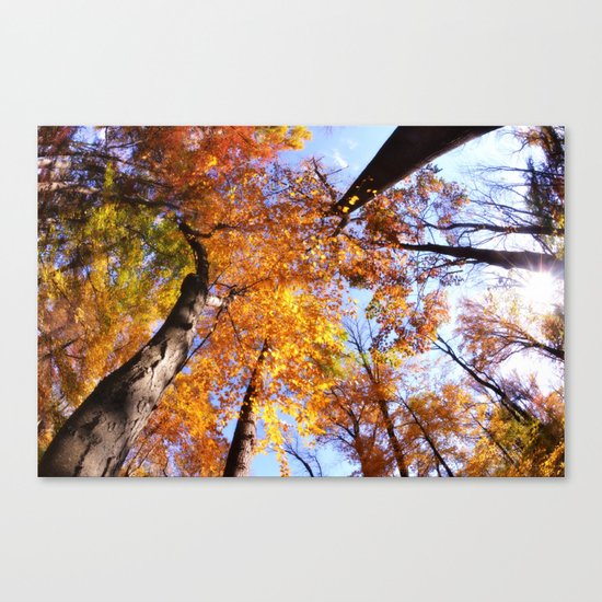 Autumn Sky Canvas Print