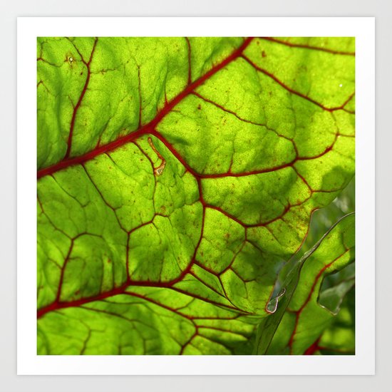 bloodstream II Art Print