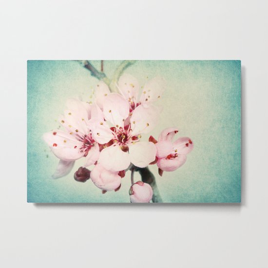 Blossom with Blue Metal Print