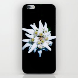 Edelweiss bloom iPhone Skin