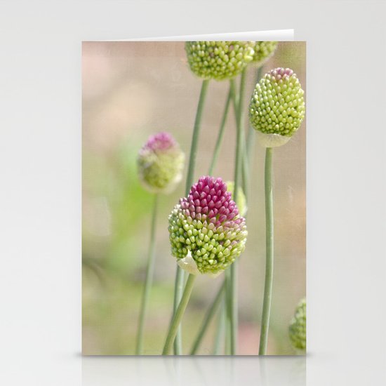 Pink Clovers Stationery Cards