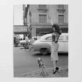 Young woman with pet dog hailing a yellow cab taxi New York City portrait black and white photograph - photography - photographs Poster