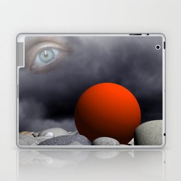 framed pictures -120- Laptop Skin