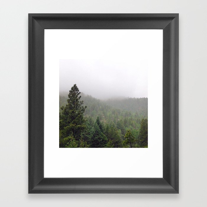 Foggy Pine Trees Framed Art Print