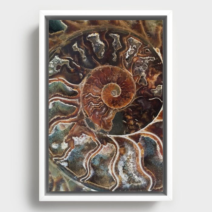 Framed Canvas