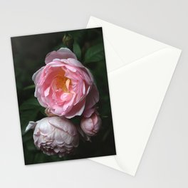 Garden Rose Stationery Cards