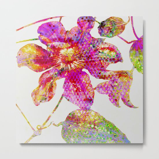 glittering clematis Metal Print