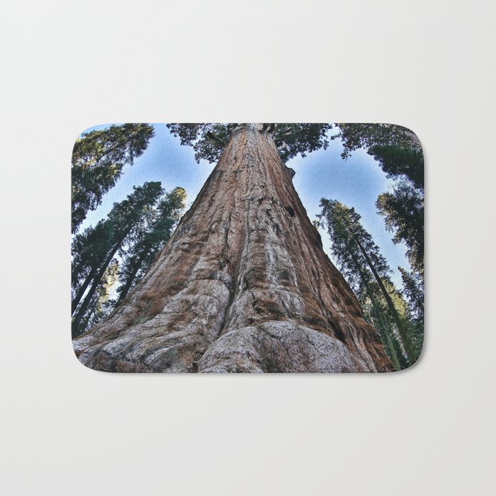 Redwood big II portrait size; redwoods of California; John Muir woods giant trees nature landscape color photograph / photography Bath Mat