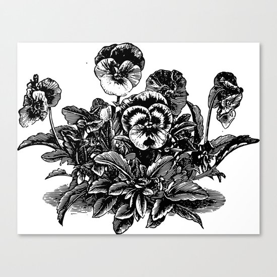 Sweet Violet Canvas Print