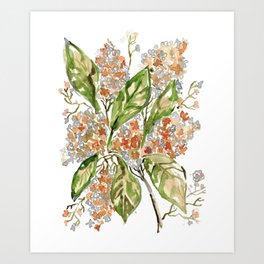 Hydrangea flower Painting Art Print