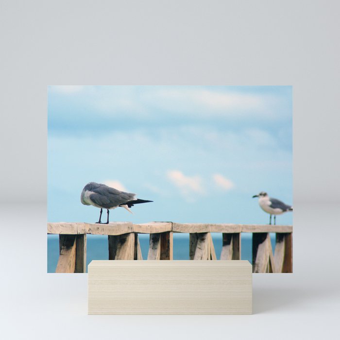 Bird collection _02 Mini Art Print
