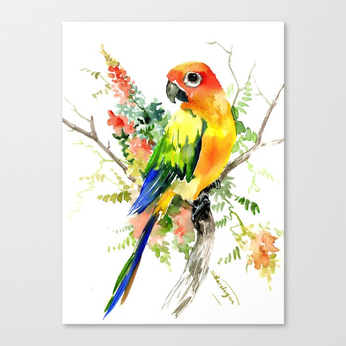 Sun Conure Parakeet, tropical colors parrot art design Canvas Print