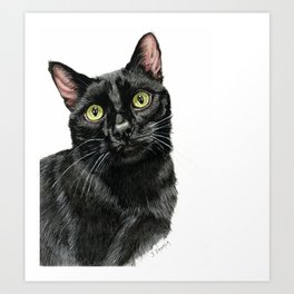 N3 WATERCOLOR CAT PORTRAIT Art Print