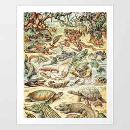 Reptiles II by Adolphe Millot // XL 19th Century Snakes Lizards Alligators Science Textbook Artwork Art Print