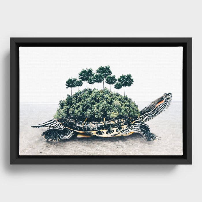 Framed Canvas