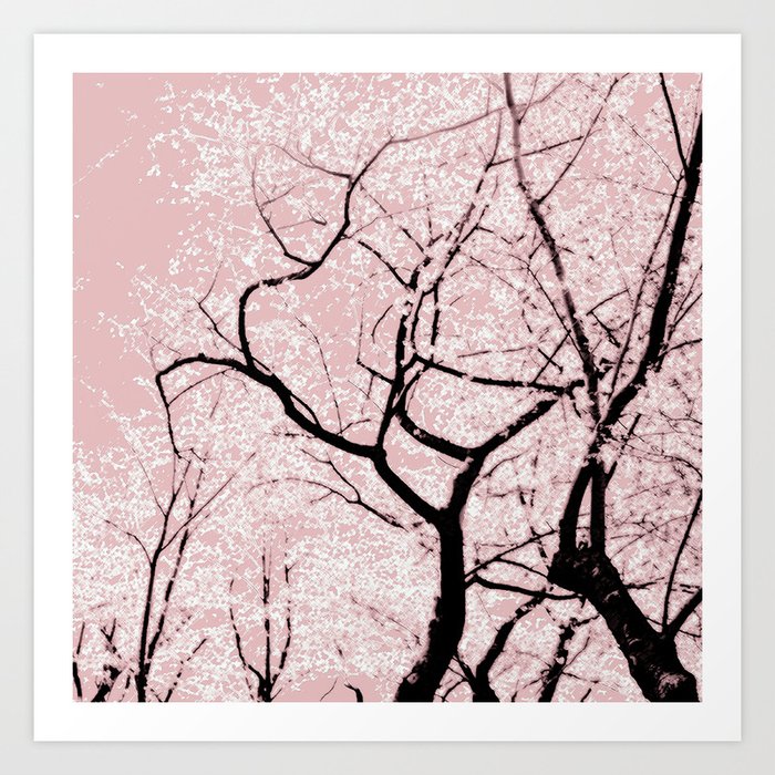 Cherry Blossom Dance Art Print