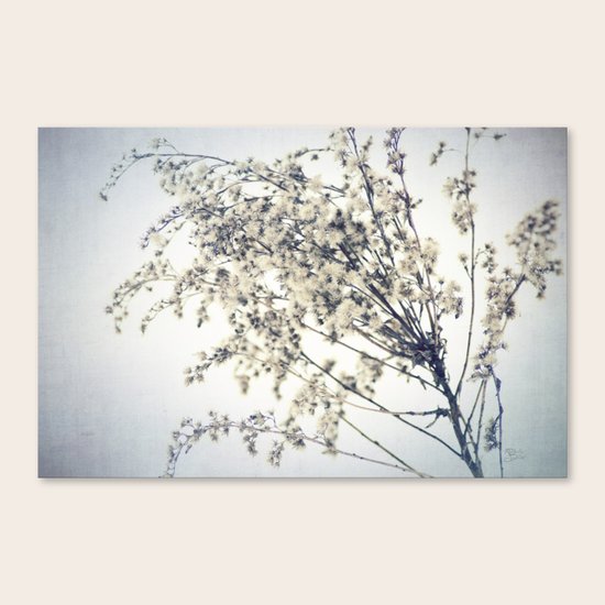 Winter's Chill Canvas Print