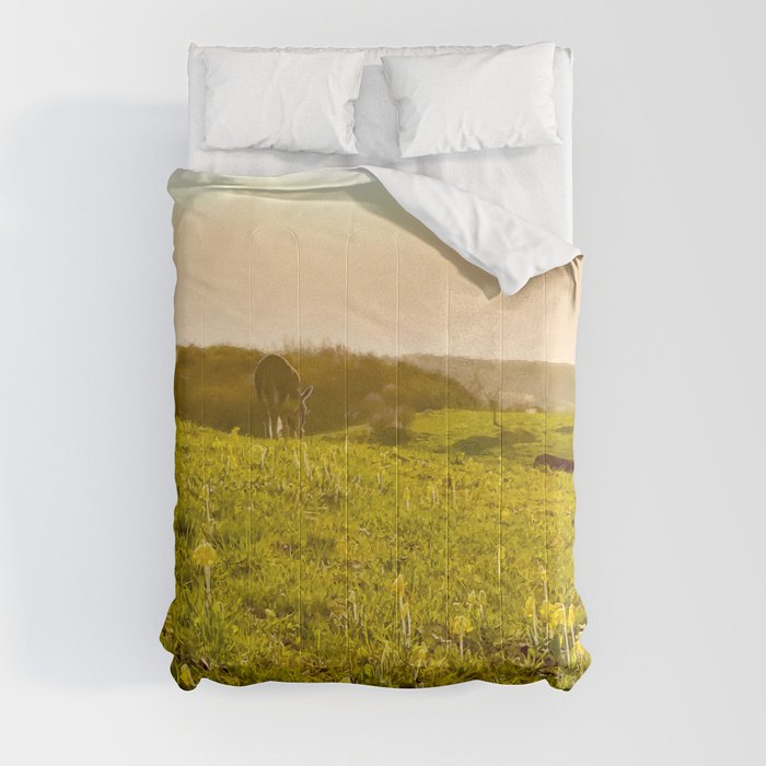 Donkey pasture at the golden hour summer landscape Comforter